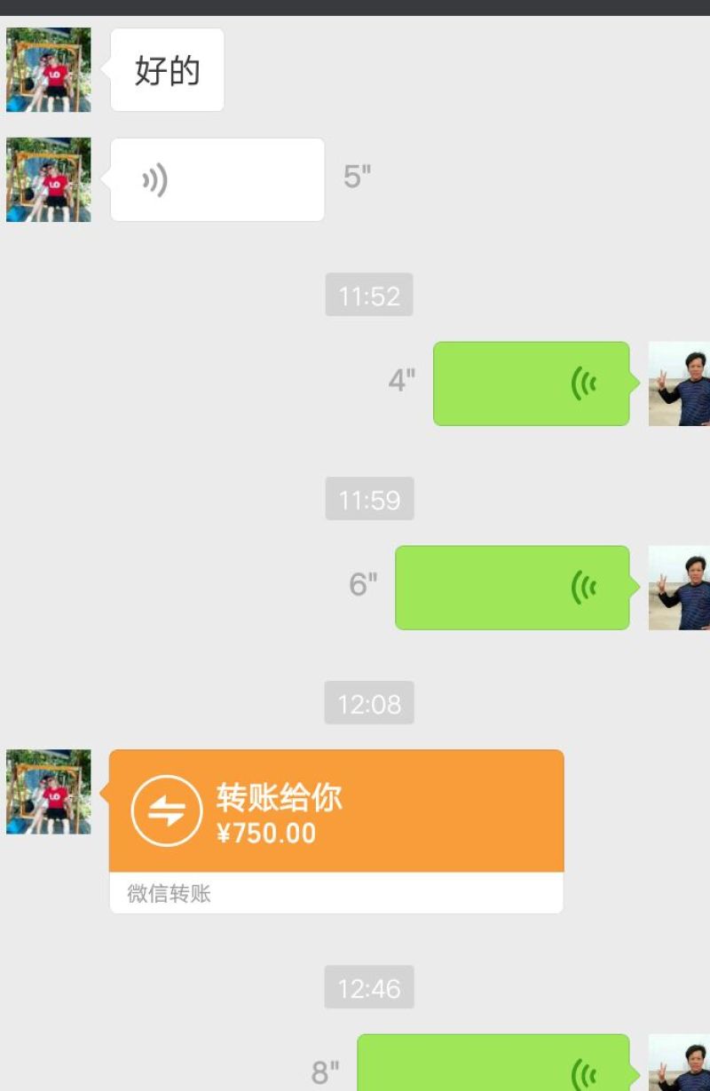 斗鸡蛋出售，8元一个
