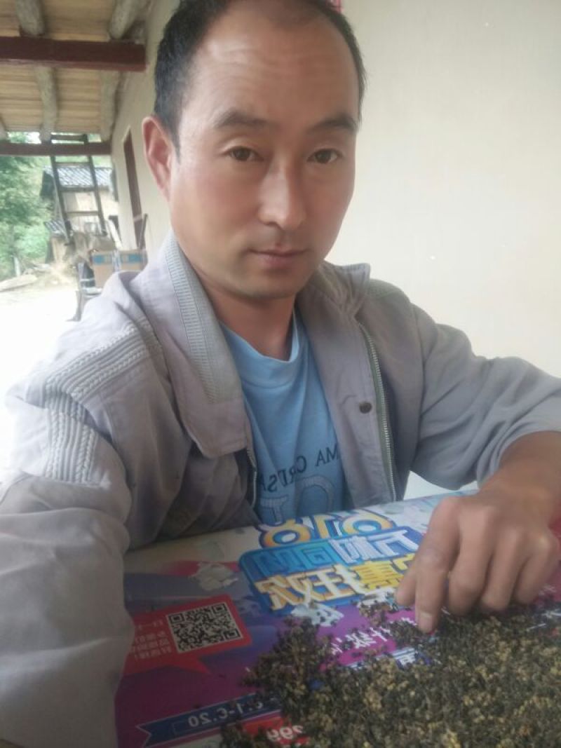 秦岭野生吴茱萸略阳吴萸无硫中小花统新货半斤包邮