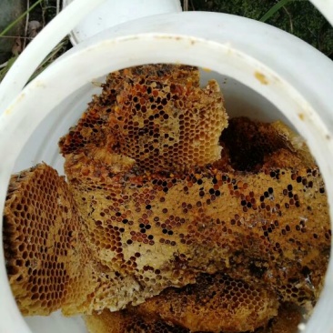 野生的蜜糖，质量很好哦
