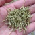 金银花色青花绿花金银花干花烘干货特级金银花茶