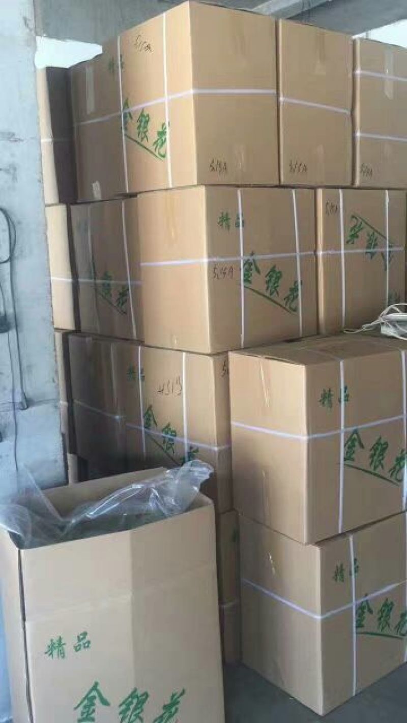 金银花色青花绿花金银花干花烘干货特级金银花茶