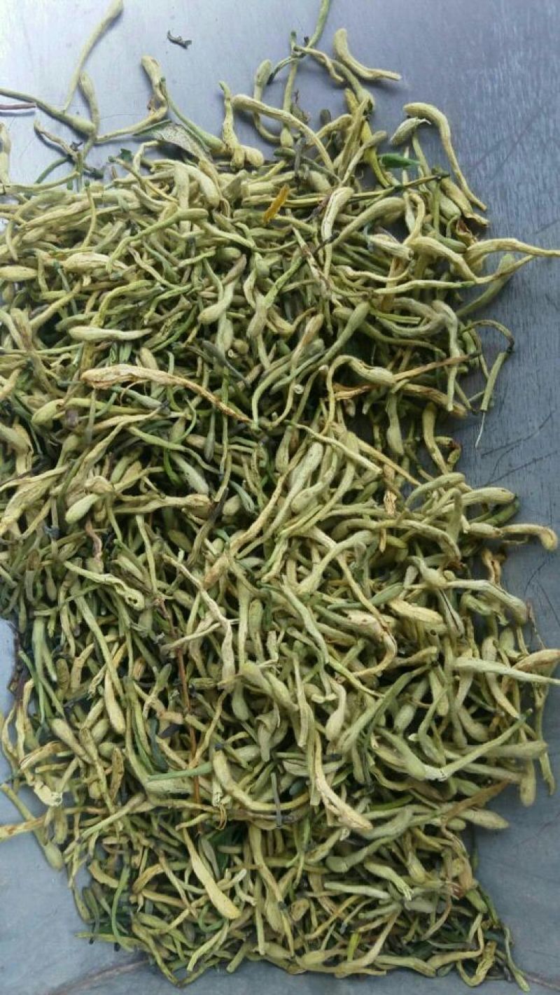 金银花色青花绿花金银花干花烘干货特级金银花茶