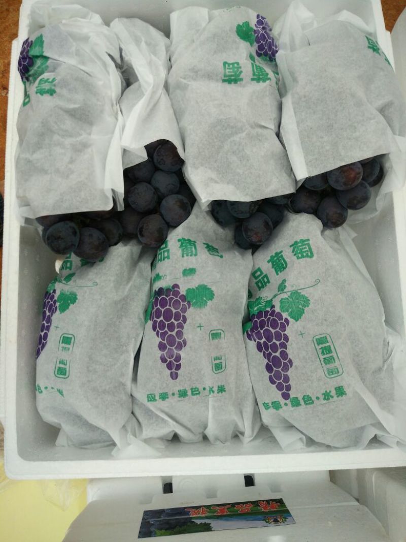 夏黑葡萄大棚果2-3斤，