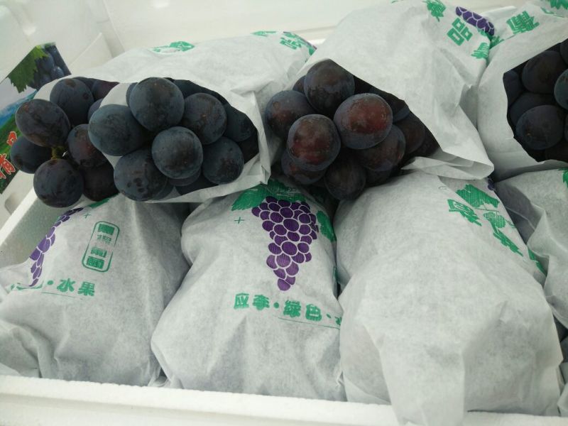 夏黑葡萄大棚果2-3斤，