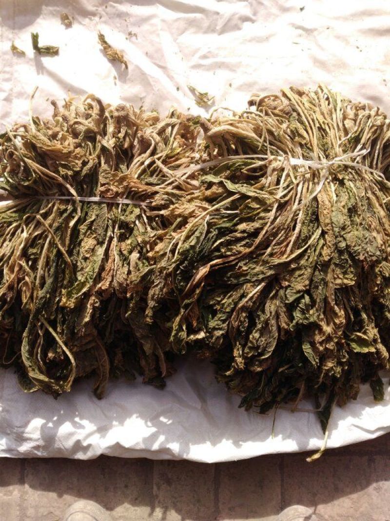 野菜供应（野干菜）包运费价格