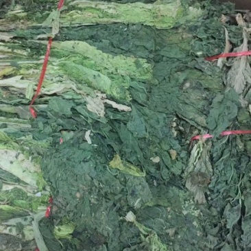 野菜供应（野干菜）包运费价格