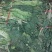 野菜供应（野干菜）包运费价格