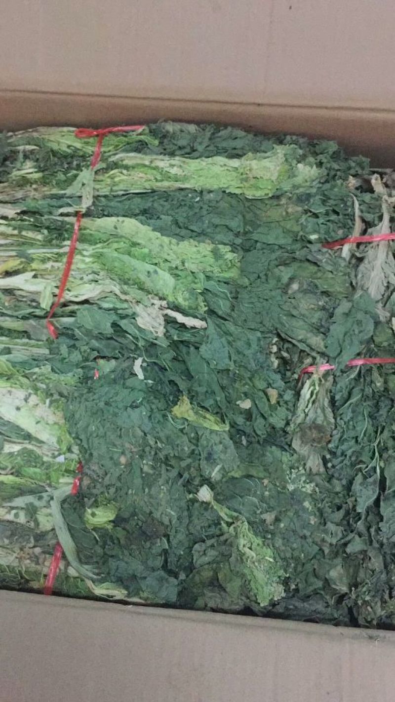 野菜供应（野干菜）包运费价格
