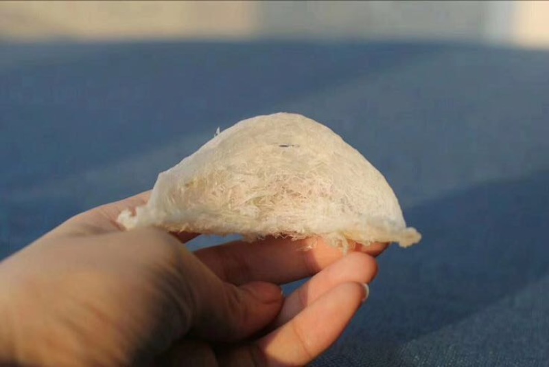 燕窝大量现货批发溯源码燕窝可视频在线观看