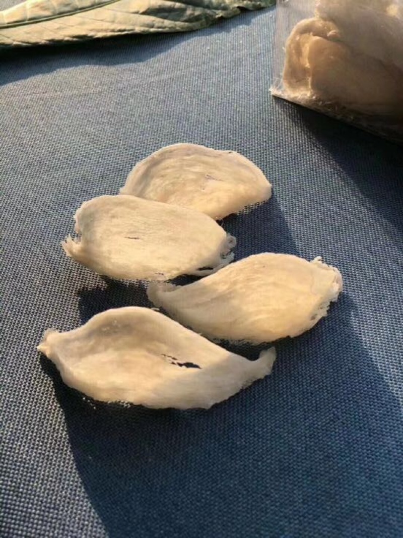 燕窝大量现货批发溯源码燕窝可视频在线观看