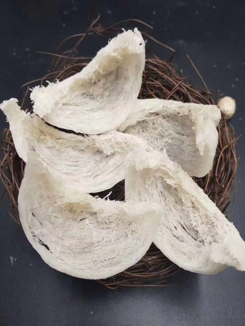 燕窝大量现货批发溯源码燕窝可视频在线观看