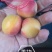 阿克苏吊干杏/小红杏/小蜜杏