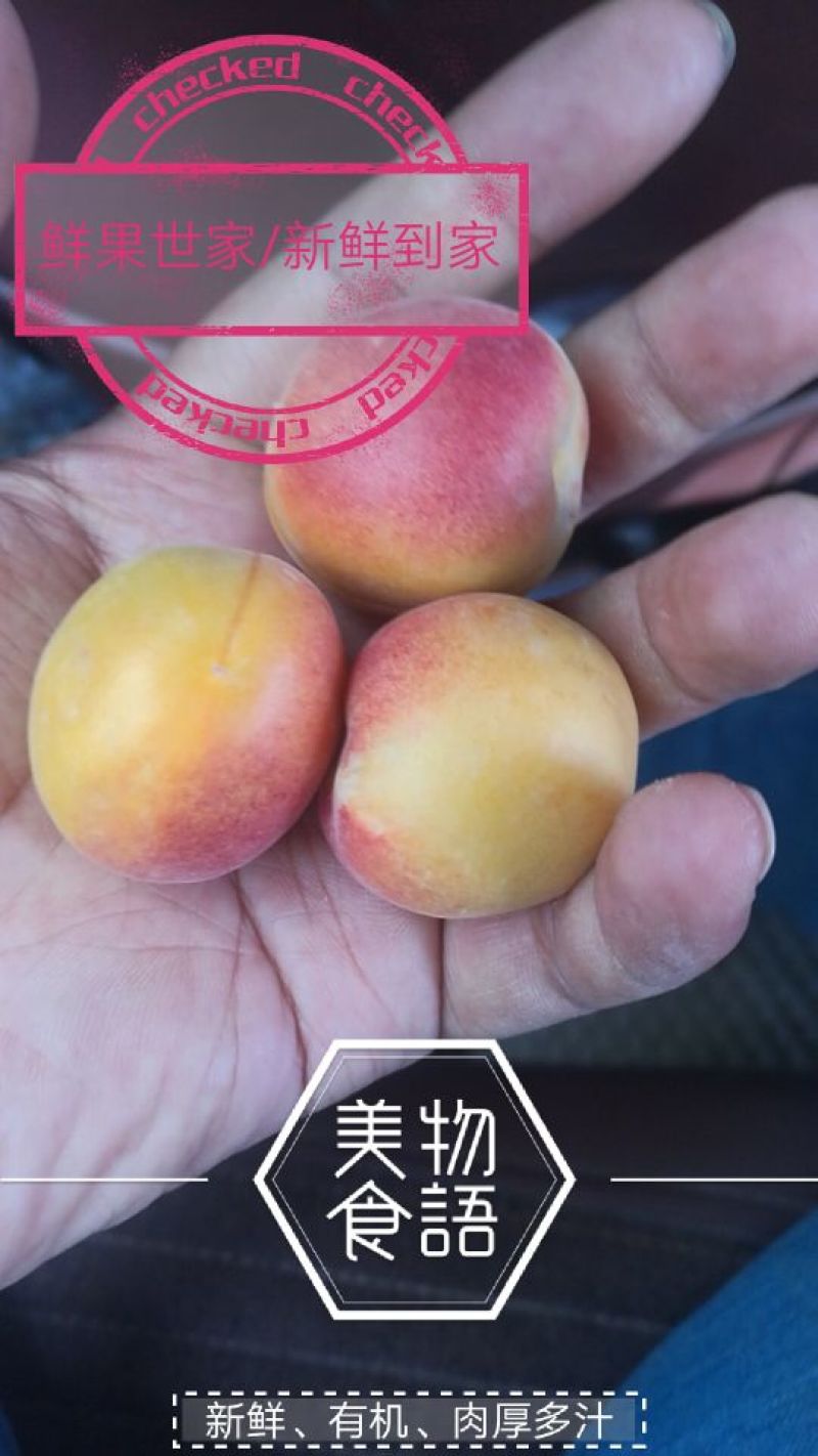 阿克苏吊干杏/小红杏/小蜜杏