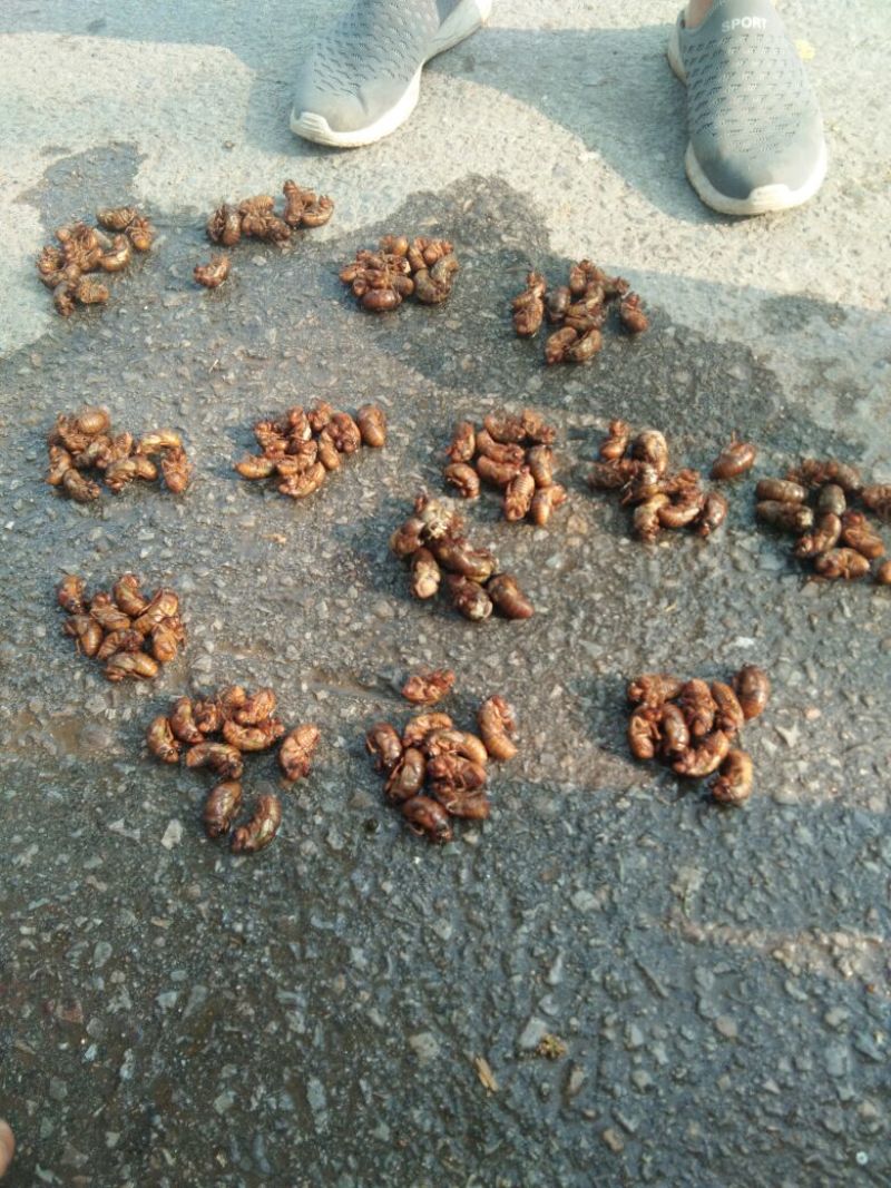 我要的联系我