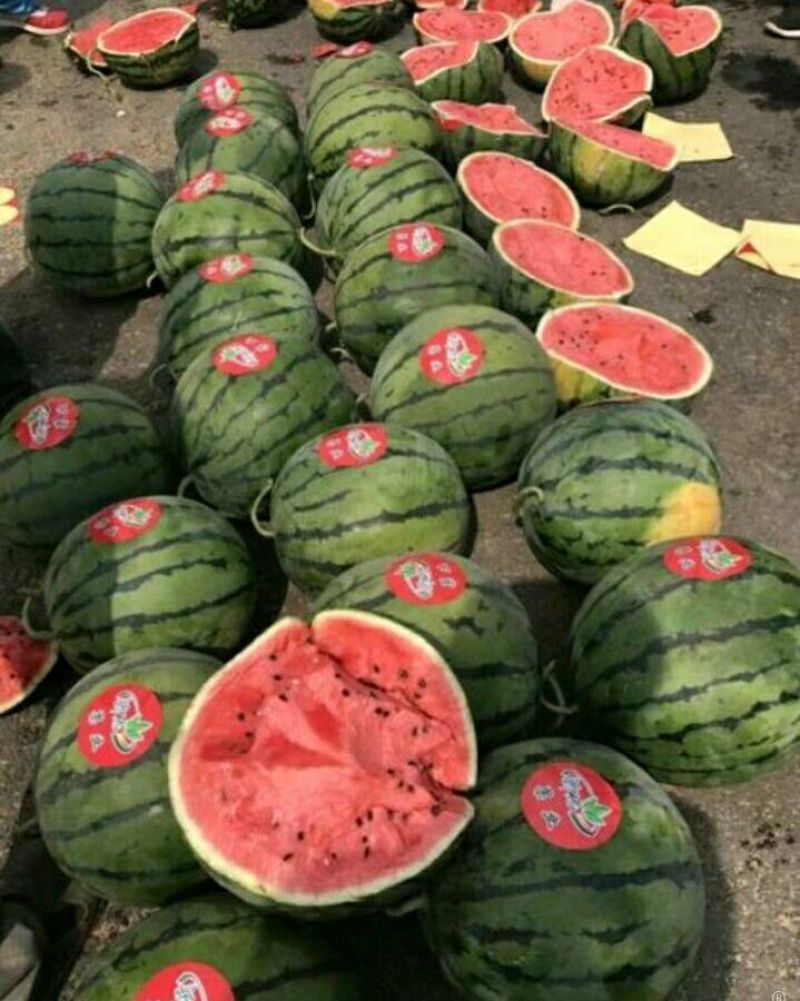 优选陕西甜王西瓜基地直供保熟保甜价格优惠