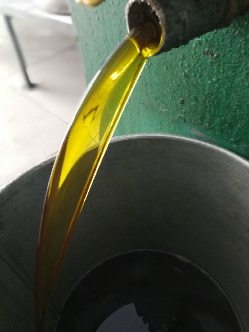 油菜籽