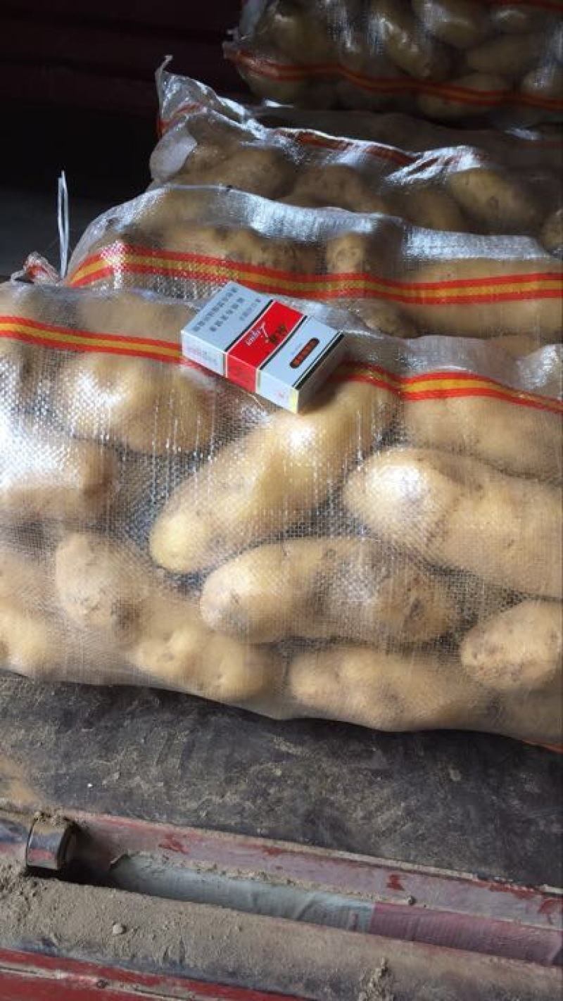 荷兰十五土豆2两以上通货