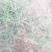 学名龙须菜，当地叫黄喜菜，纯野生，可凉拌