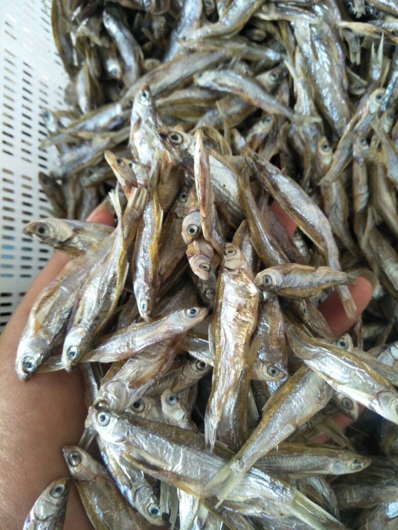 虾干，鱼干