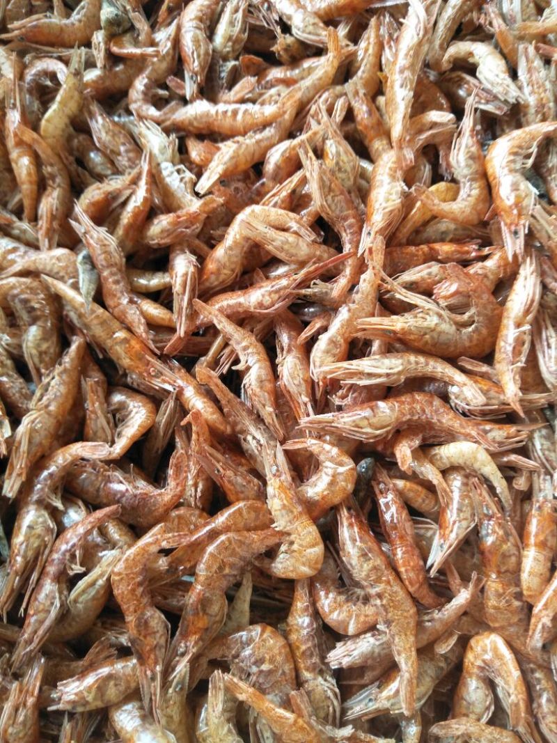 虾干，鱼干
