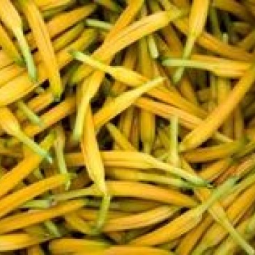 黄花菜