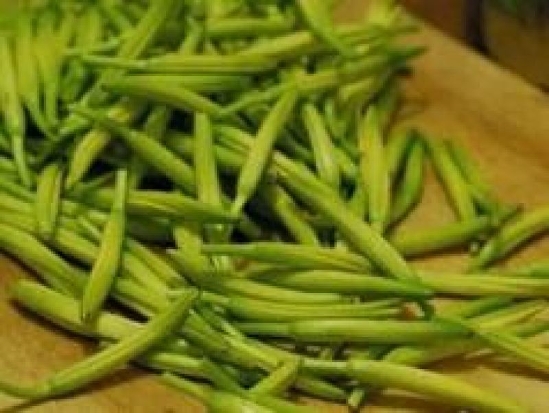 黄花菜