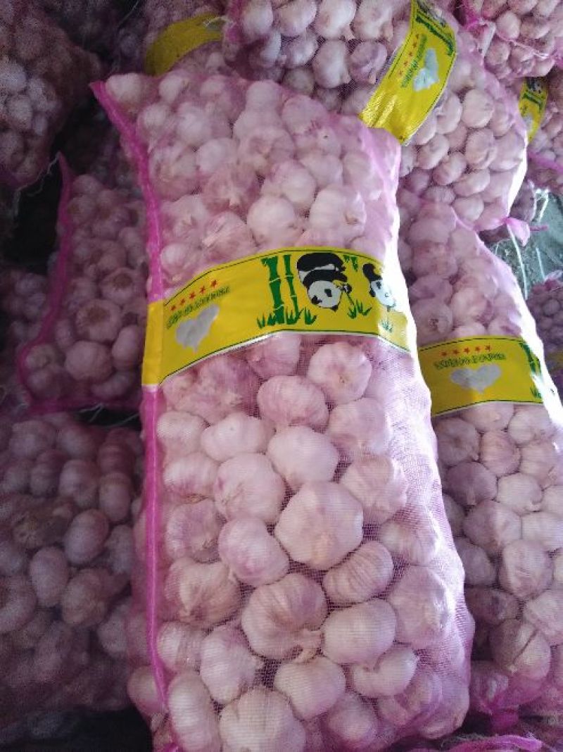 精品大蒜，皮厚，品质好，混级
