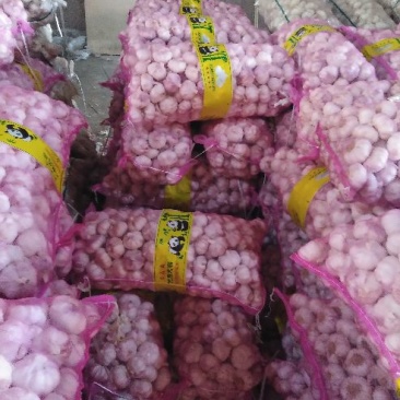 精品大蒜，皮厚，品质好，混级