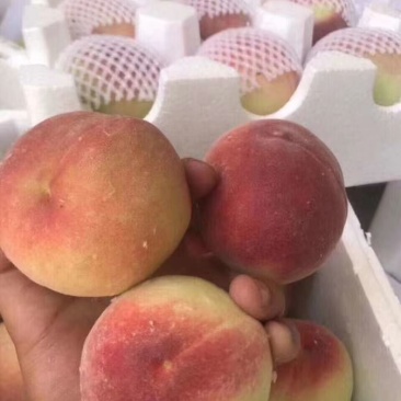 突围水蜜桃