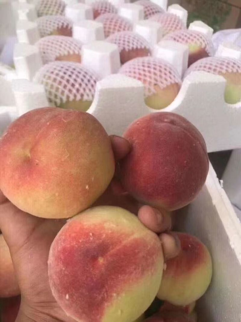 突围水蜜桃