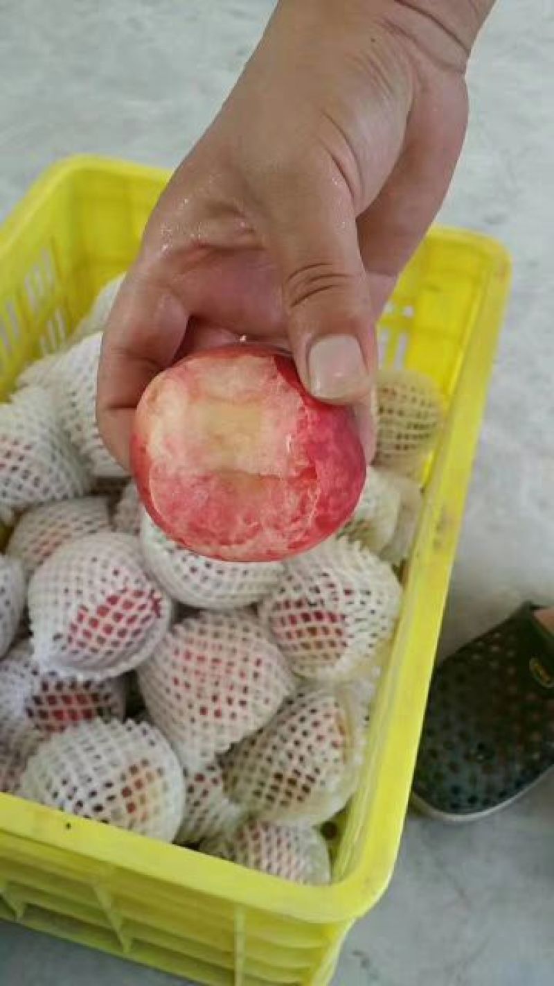 突围水蜜桃