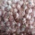 大蒜5.5~6cm鲜蒜
