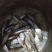 自制火焙油炸溪水鱼干