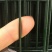 厂家直供围网荷兰网护栏浸塑绿色铁丝网围网立柱