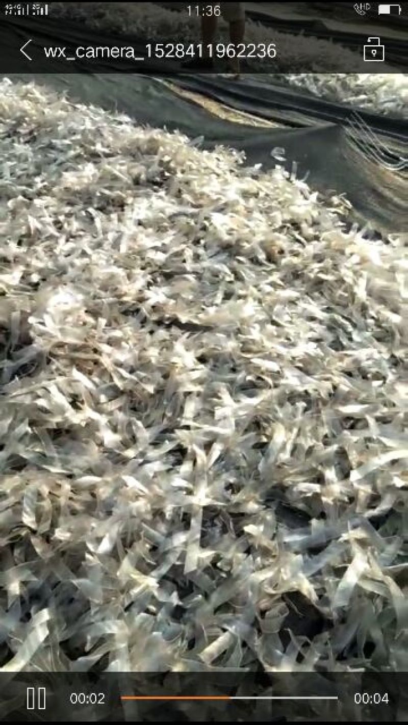 红薯粉皮块