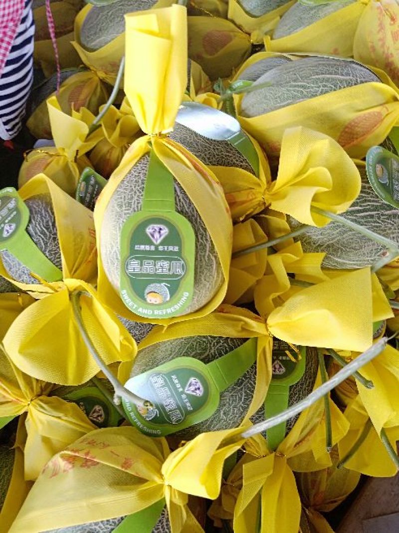 山东晓蜜25号哈密瓜西周蜜高品质对接，一件代发
