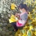 山东晓蜜25号哈密瓜西周蜜高品质对接，一件代发