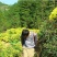 菊花茶