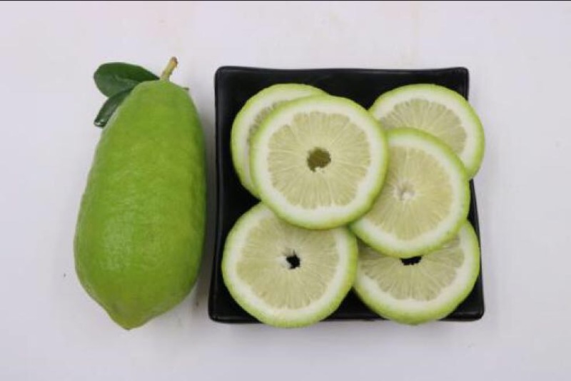 柠檬香水柠檬一件代发一级果
