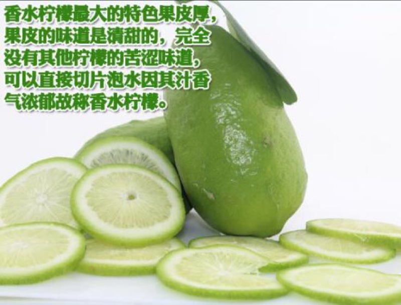 柠檬香水柠檬一件代发一级果