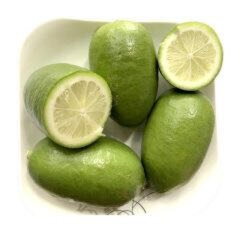 柠檬香水柠檬一件代发一级果