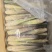 双季茭白苗出售