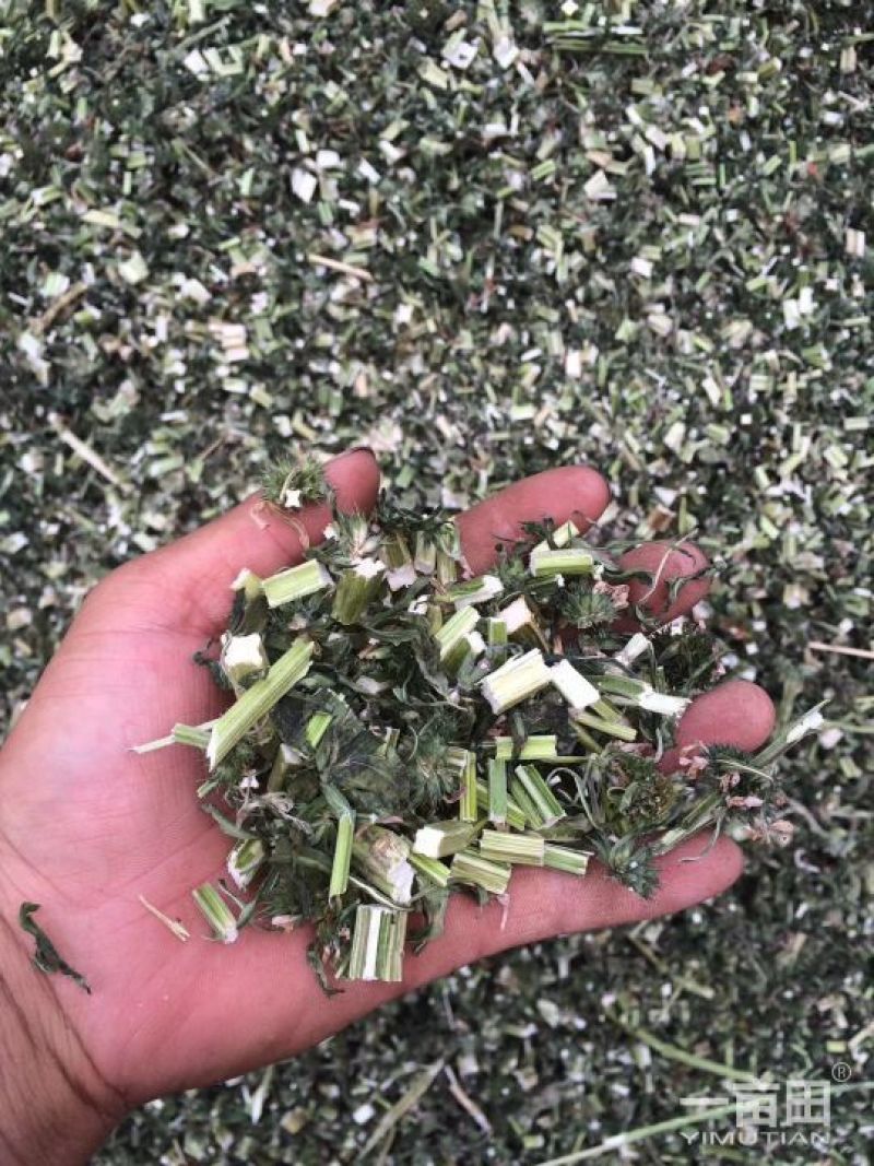 各种规格益母草片子