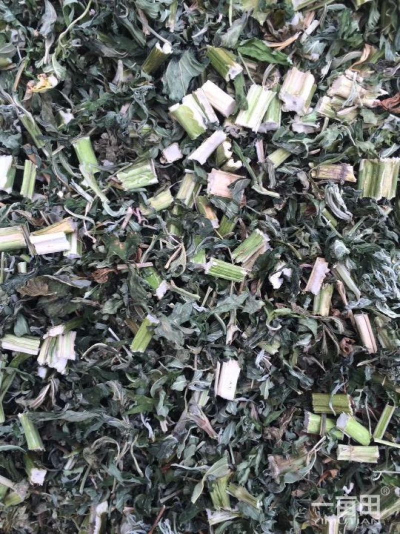 各种规格益母草片子