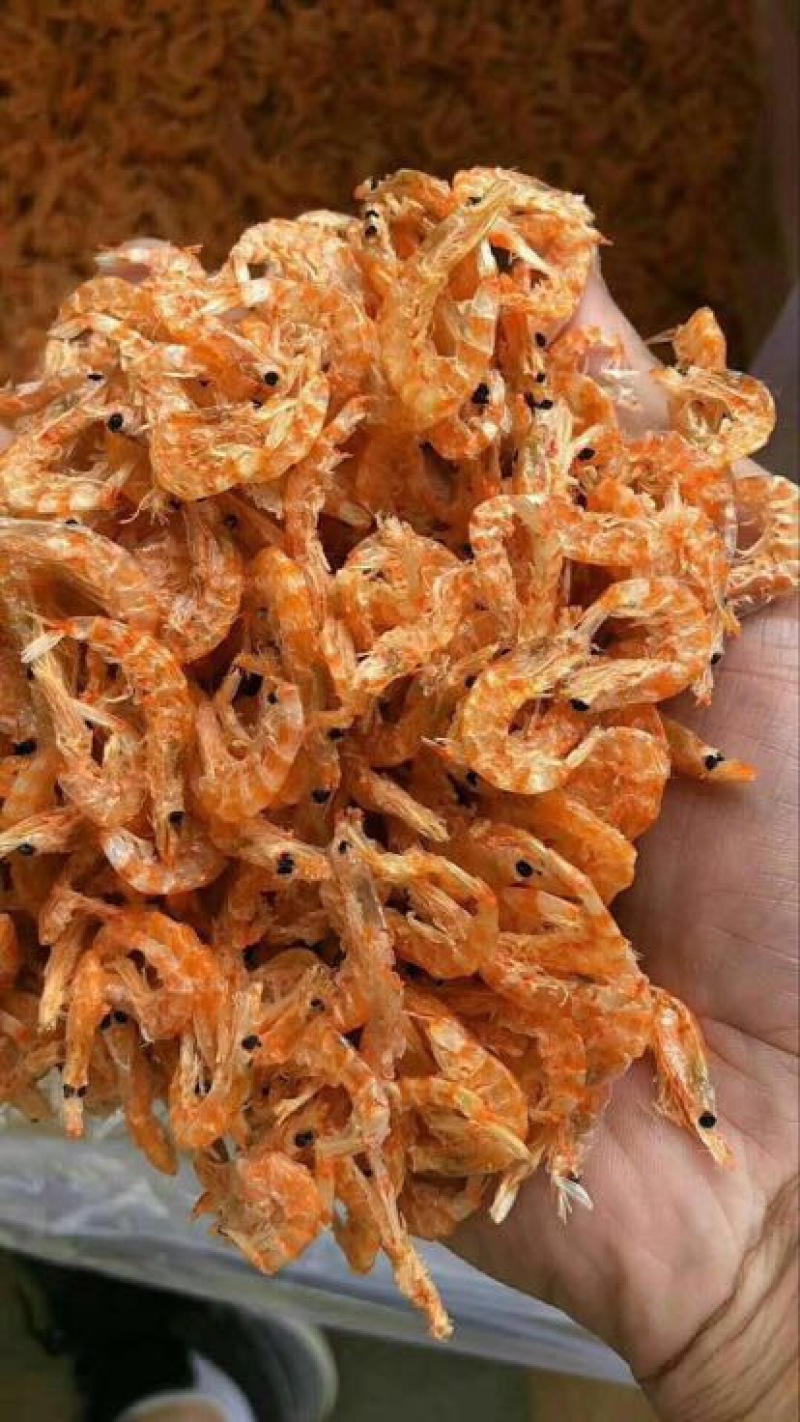 淡干特级无盐麟虾皮一手货源