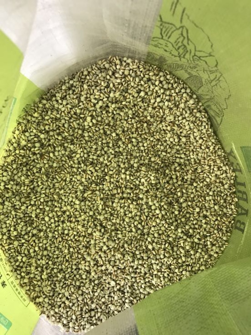 白薏米包装