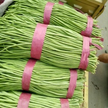 长豆角虹豆产地直供量大从优质量好品质高欢迎老板
