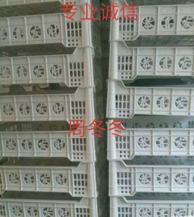 玫瑰香葡萄软枝散串人工修穗串行漂亮浓郁香味糖度26紫黑色