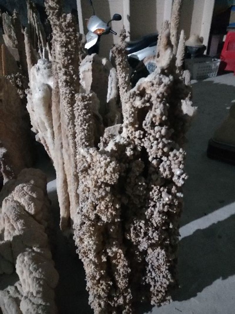 天然石花
