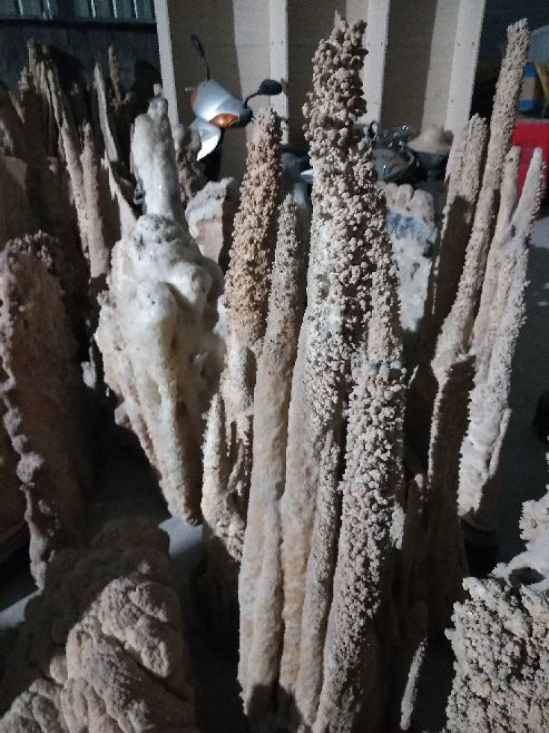 天然石花